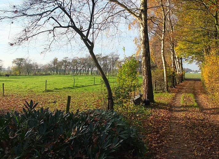 Unterkunft 311102 - Ferienhaus Montferland - Vakantiehuis in Loerbeek