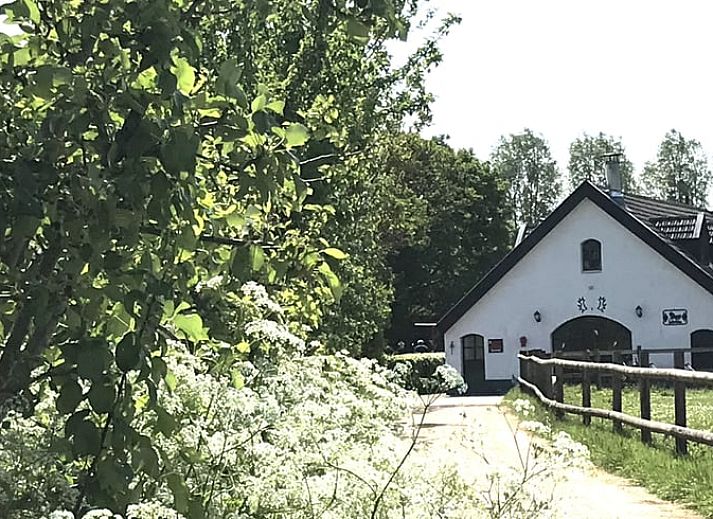 Verblijf 311204 - Vakantiewoning Montferland - Huisje in Beek - Montferland