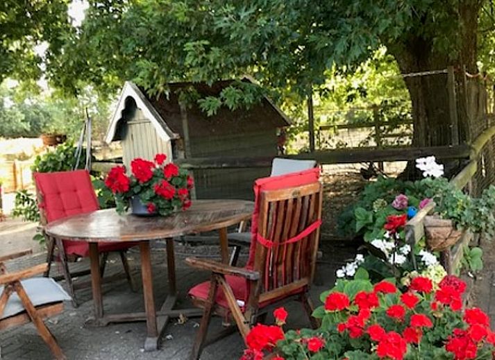 Verblijf 311204 - Vakantiewoning Montferland - Huisje in Beek - Montferland
