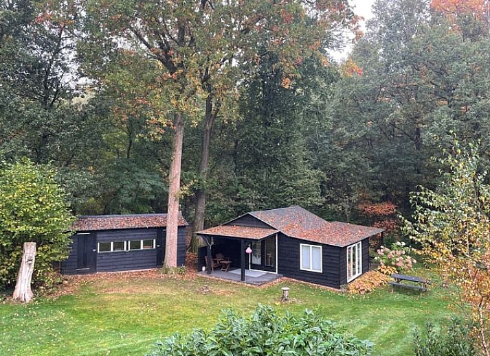 Bunte Tassen im Ferienhaus in Beekbergen, Veluwe. Stilvolle Details in Gelderland.