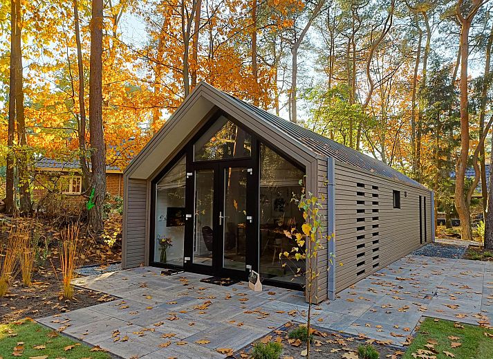 Forest Lodge 4 vakantiehuis in Beekbergen, Veluwe, omgeven door herfstbladeren en serene natuur.