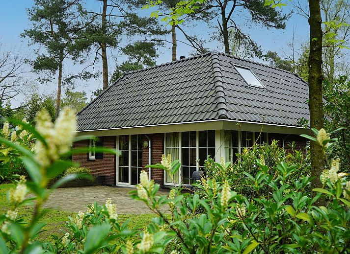 Guest house 3201139 • Holiday property Veluwe • Villa Sauna 10
