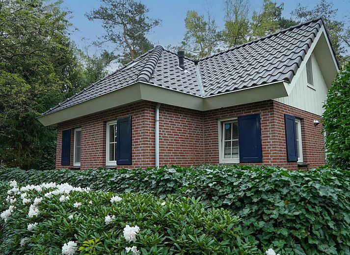 Unterkunft 3201144 • Bungalow Veluwe • Groepsvilla (H8)
