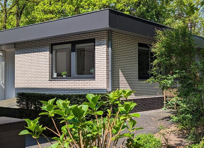 Ferienhaus in Beekbergen, ein Ferienhaus in der Region Veluwe in Gelderland, umgeben von gruener Natur und einer ruhigen Umgebung.