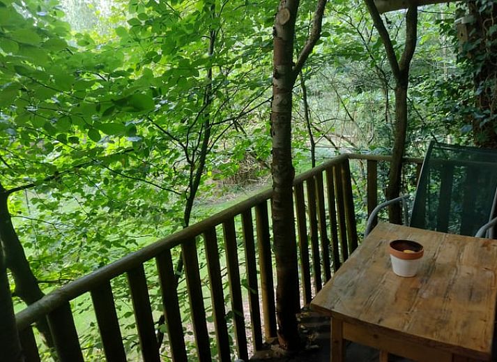 Unterkunft 3201154 - Ferienhaus Veluwe - Huisje in Beekbergen