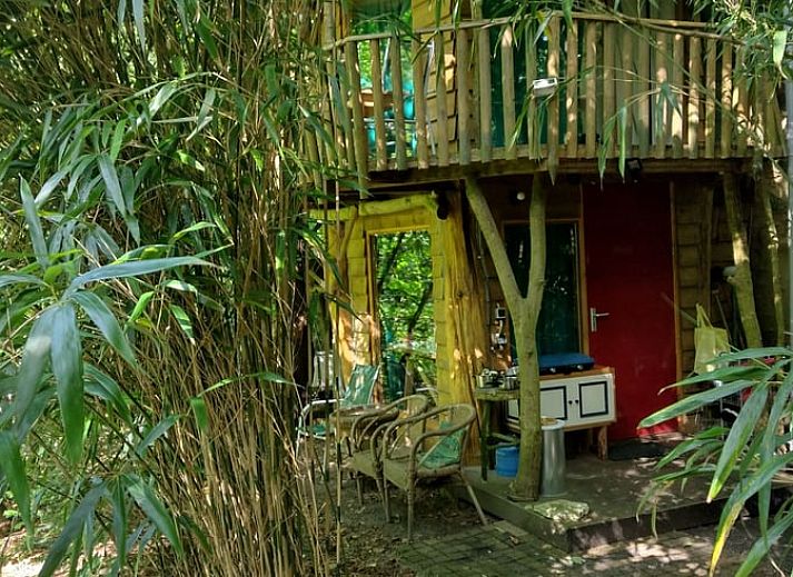 Unterkunft 3201154 - Ferienhaus Veluwe - Huisje in Beekbergen