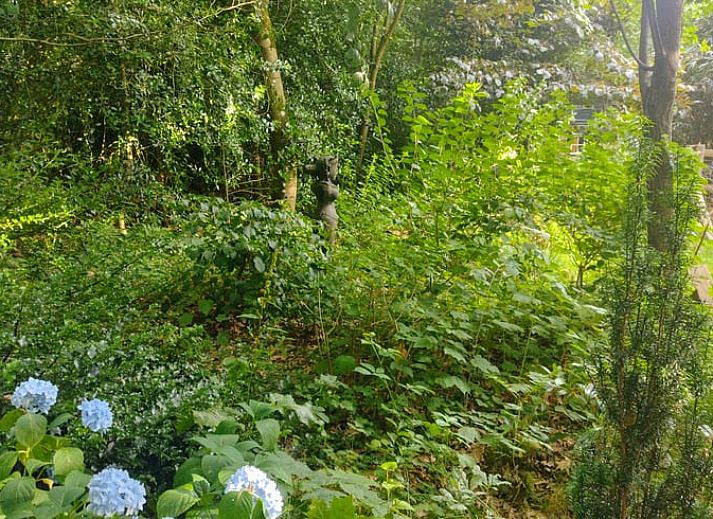 Unterkunft 3201154 - Ferienhaus Veluwe - Huisje in Beekbergen