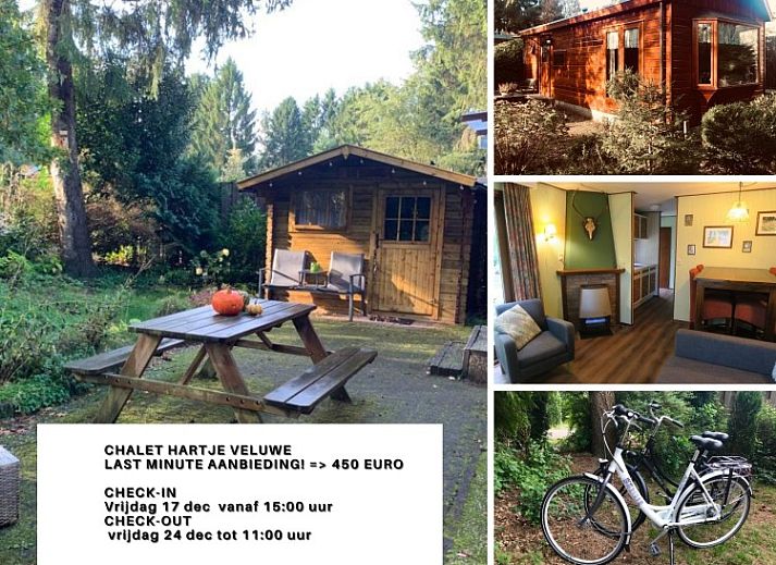 Verblijf 3201162 • Chalet Veluwe • Chalet de Bosuil