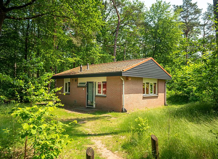 Verblijf 3201172 - Bungalow Veluwe - Heideheuvel | 4-persoons bungalow | 4B