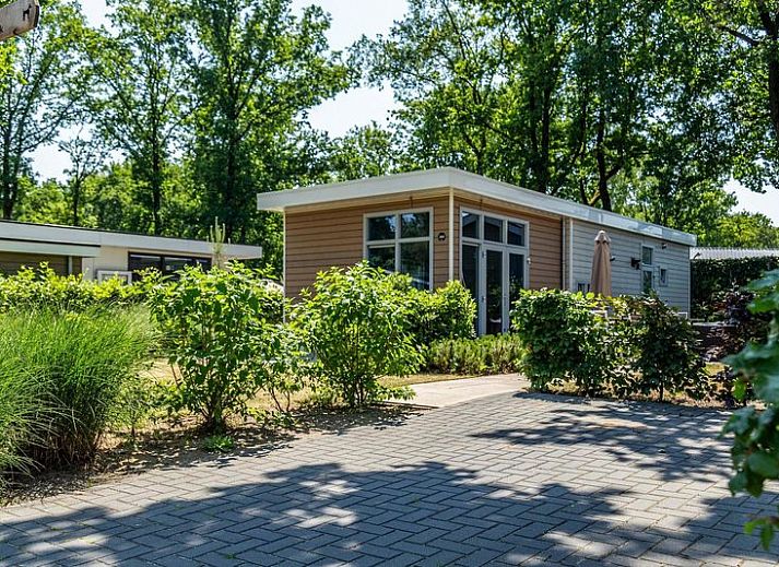 Guest house 3201185 - Holiday property Veluwe - Lodge 4 personen