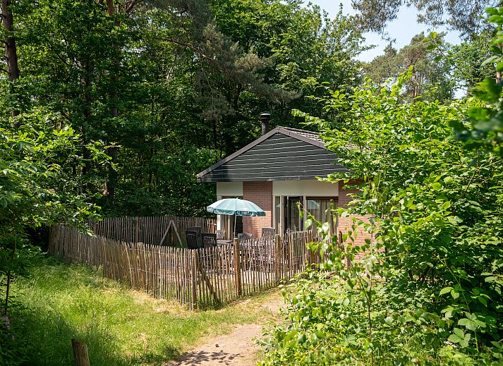 Verblijf 3201189 - Bungalow Veluwe - Heideheuvel | 6-persoons hondenbungalow | 6CD