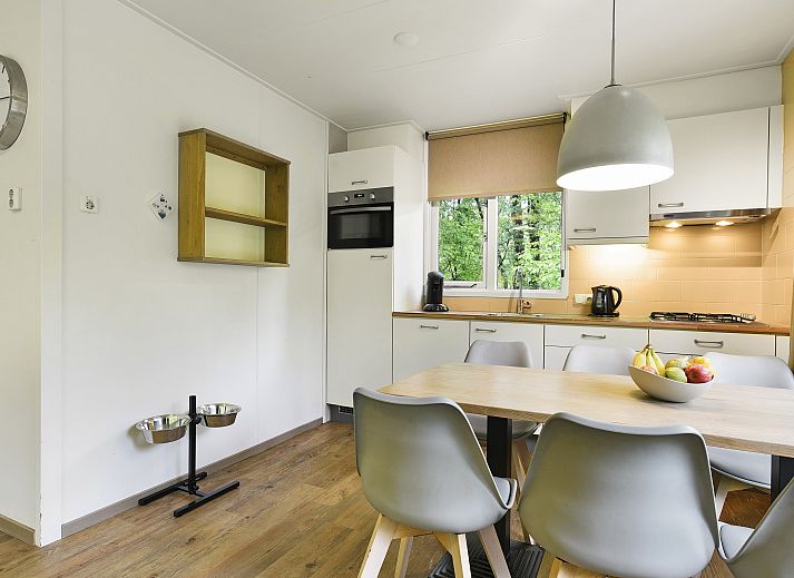 Verblijf 3201189 - Bungalow Veluwe - Heideheuvel | 6-persoons hondenbungalow | 6CD