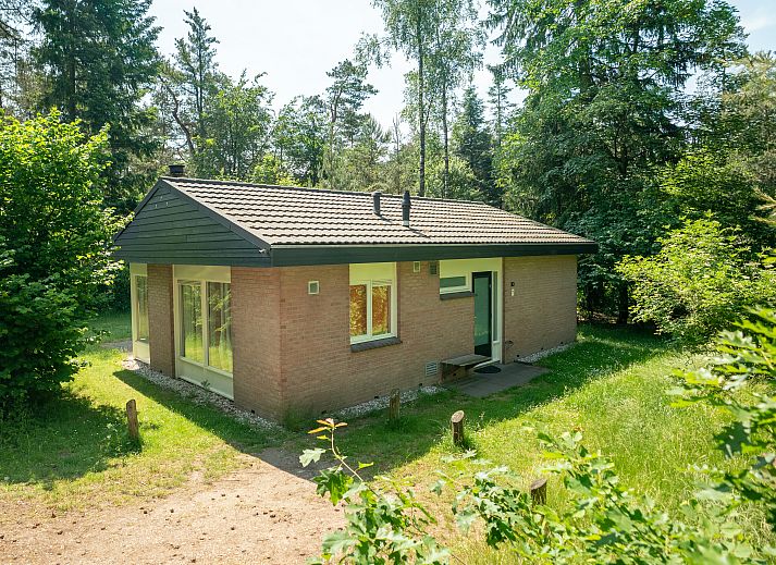 Unterkunft 3201193 - Bungalow Veluwe - Heideheuvel | 6-persoons bungalow | 6CE