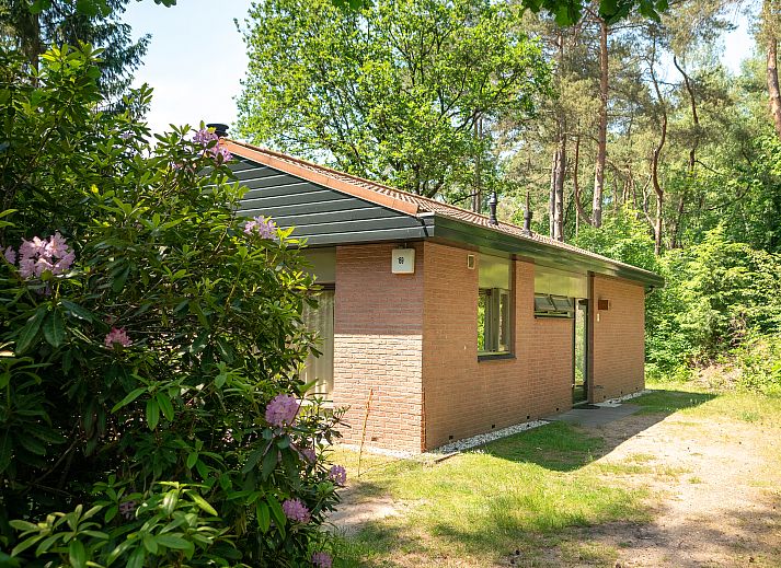 Unterkunft 3201193 - Bungalow Veluwe - Heideheuvel | 6-persoons bungalow | 6CE