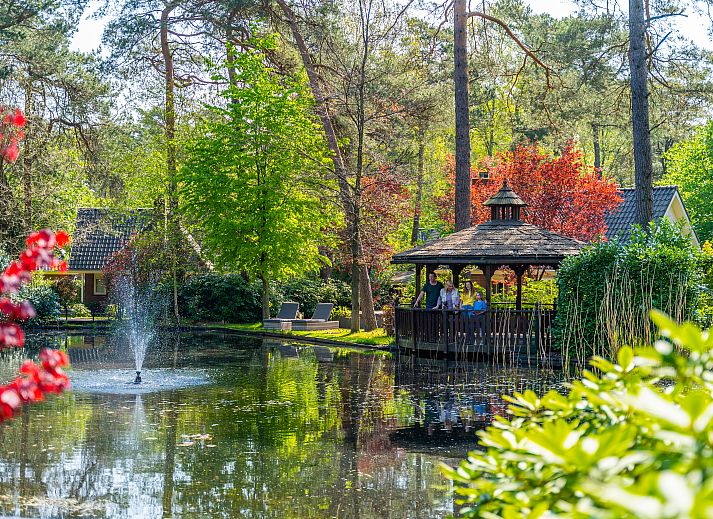 Unterkunft 3201201 - Ferienhaus Veluwe - EuroParcs Beekbergen