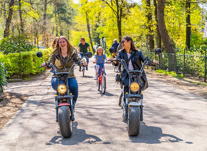 Unterkunft 3201201 - Ferienhaus Veluwe - EuroParcs Beekbergen