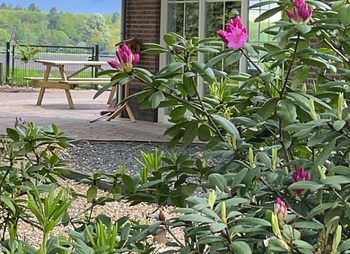 Ferienhaus in Beekbergen, ein charmantes Ferienhaus in der Region Veluwe in Gelderland, umgeben von ueppiger Natur und bunten Blumen.