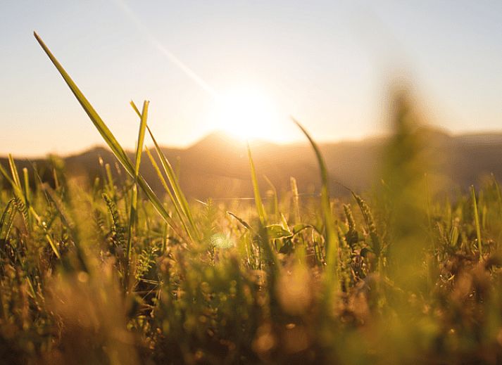 Verschneite Landschaft im Cottage in Beekbergen, Ferienhaus in Veluwe, Gelderland mit Blick auf verschneite Felder und winterliche Natur.
