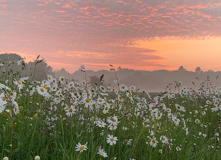 Gemuetliches Schlafzimmer in Cottage in Beekbergen, Ferienhaus in Veluwe, Gelderland, mit bequemem Stuhl und modernem Kleiderschrank.