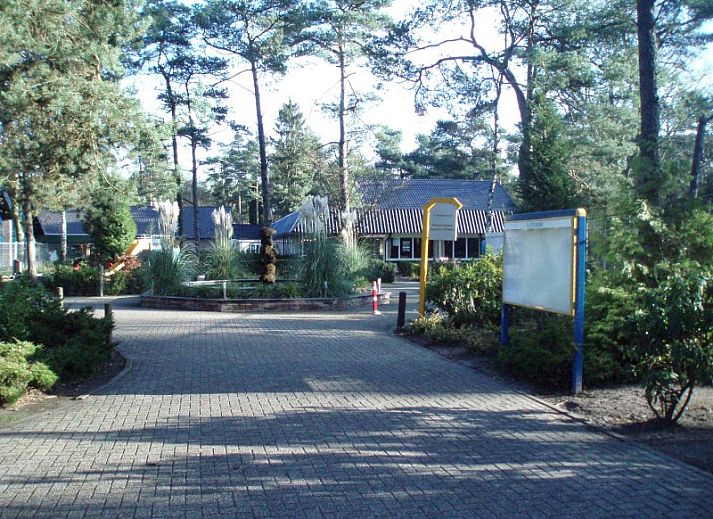 Guest house 320126 - Holiday property Veluwe - vakantiewoning Beenhorst B11 Veluwe