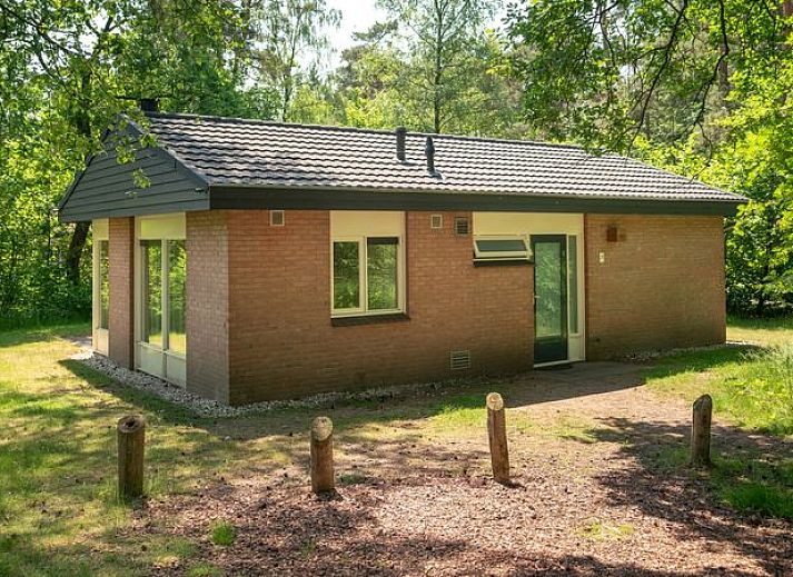 Guest house 320132 - Bungalow Veluwe - Heideheuvel | 18-persoons reuniebungalow | 18C