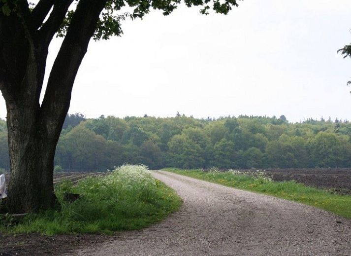 Veluwe vakantie bungalow in Beekbergen met groene tuin en bloeiende rododendrons, gelegen in de prachtige Veluwe, Gelderland.