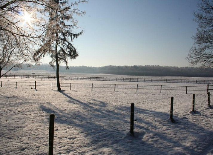 Veluwe vakantie bungalow in Beekbergen met groene tuin en bloeiende rododendrons, gelegen in de prachtige Veluwe, Gelderland.