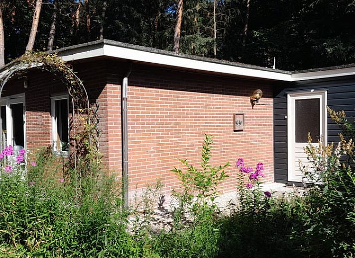Rustikales Ferienhaus in Beekbergen, umgeben von gruener Natur in der Veluwe, Gelderland, perfekt fuer einen erholsamen Aufenthalt.