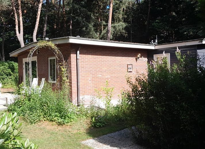 Rustikales Ferienhaus in Beekbergen, umgeben von gruener Natur in der Veluwe, Gelderland, perfekt fuer einen erholsamen Aufenthalt.