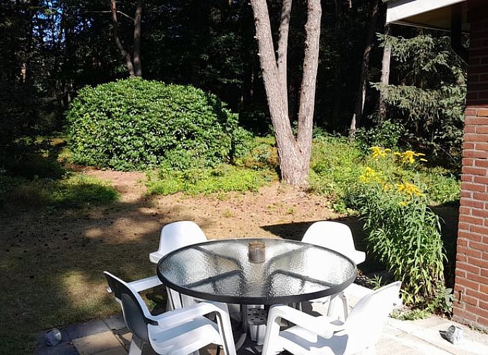 Ferienhaus in Beekbergen, Veluwe, Gelderland, mit einem sonnigen Garten, umgeben von Natur und rustikalen Backsteinmauern.