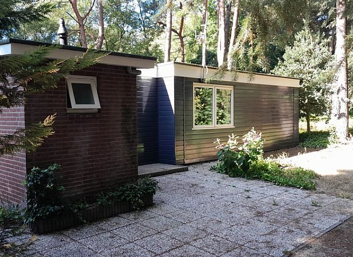 Ferienhaus in Beekbergen, Veluwe, Gelderland, mit einem sonnigen Garten, umgeben von Natur und rustikalen Backsteinmauern.