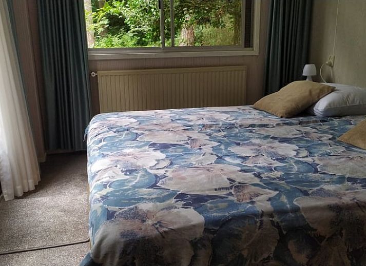 Geniessen Sie den sonnigen Garten und die Terrasse beim Ferienhaus in Beekbergen, einer charmanten Ferienunterkunft in der Region Veluwe in Gelderland.