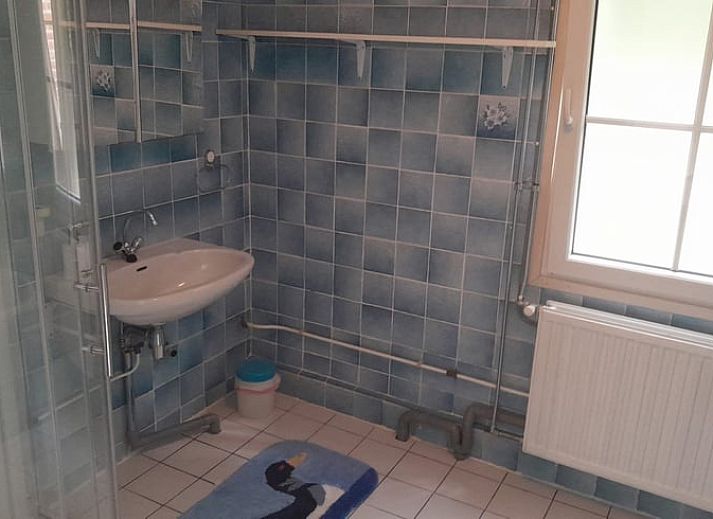 Ferienhaus in Beekbergen, Veluwe, Gelderland mit Terrasse und gruener Umgebung, ideal fuer Naturliebhaber.