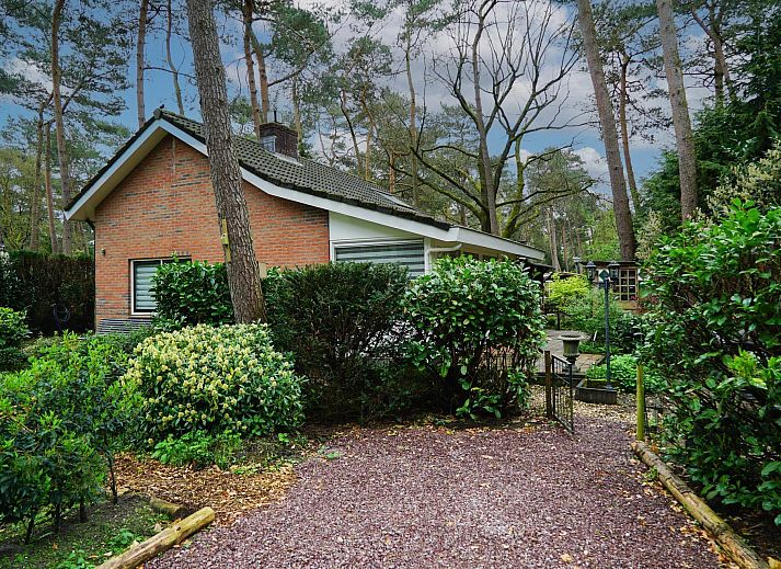 Verblijf 320141 • Vakantiewoning Veluwe • Boshuis 6