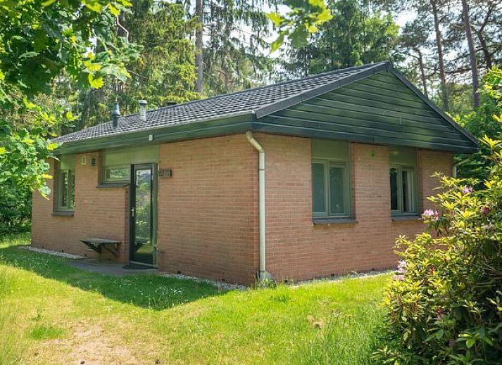 Guest house 320152 • Bungalow Veluwe • Heideheuvel | 2-persoons bungalow | 2L 