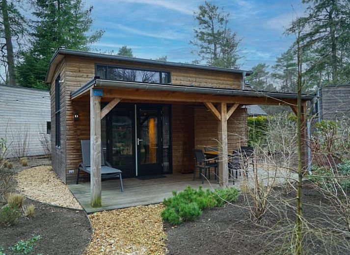 Verblijf 320158 • Bungalow Veluwe • Heideheuvel | 12-persoons bungalow | 12EL