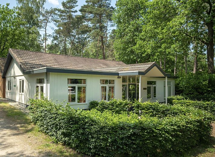 Guest house 320159 • Bungalow Veluwe • Heideheuvel | 12-persoons bungalow | 12L1 