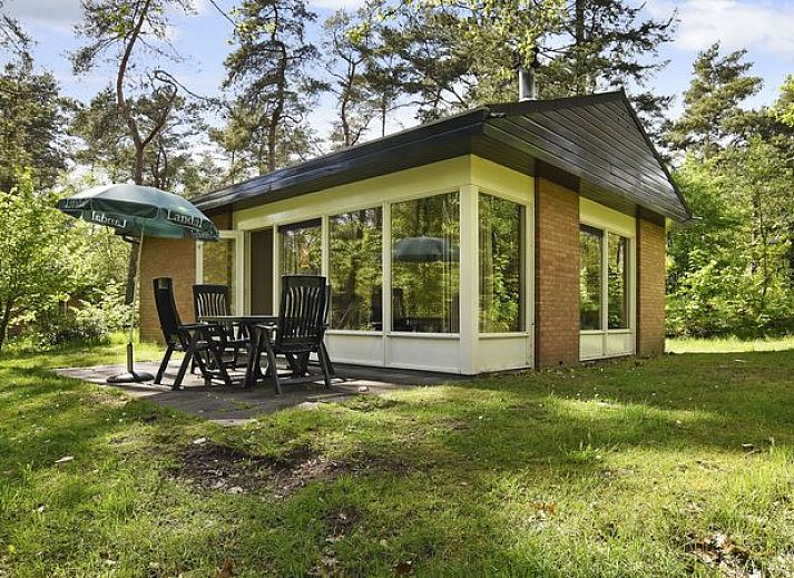 Unterkunft 320160 • Bungalow Veluwe • Heideheuvel | 4-persoons bungalow | 4C2