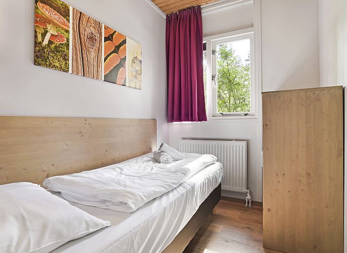 Unterkunft 320160 - Bungalow Veluwe - Heideheuvel | 4-persoons bungalow | 4C2