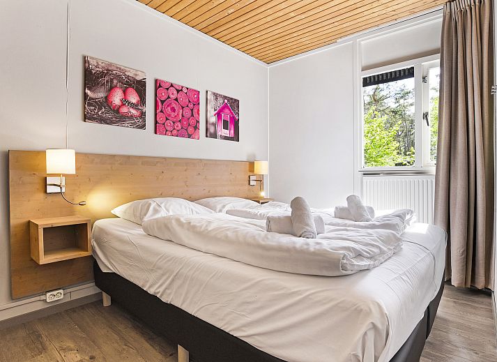 Unterkunft 320160 - Bungalow Veluwe - Heideheuvel | 4-persoons bungalow | 4C2