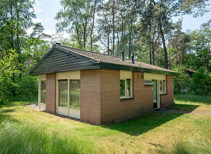 Unterkunft 320160 - Bungalow Veluwe - Heideheuvel | 4-persoons bungalow | 4C2