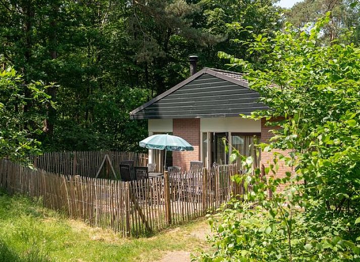 Verblijf 320161 • Vakantiewoning Veluwe • Type D