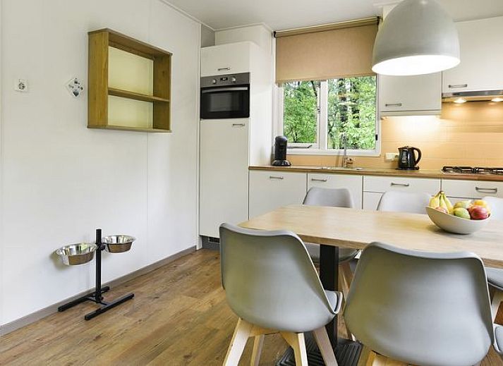 Guest house 320161 - Bungalow Veluwe - Heideheuvel | 6-persoons hondenbungalow | 6CD