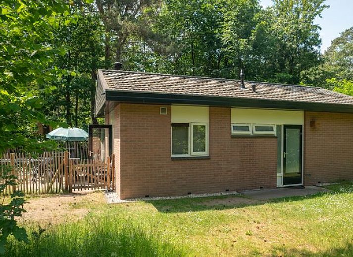 Guest house 320161 - Bungalow Veluwe - Heideheuvel | 6-persoons hondenbungalow | 6CD