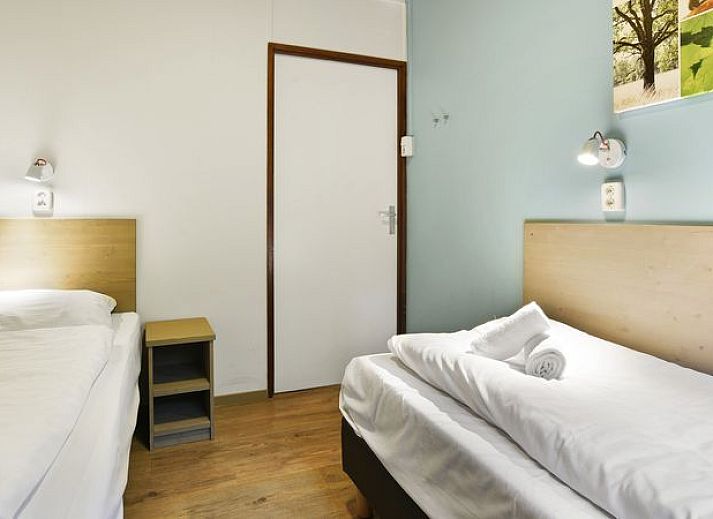 Guest house 320161 - Bungalow Veluwe - Heideheuvel | 6-persoons hondenbungalow | 6CD