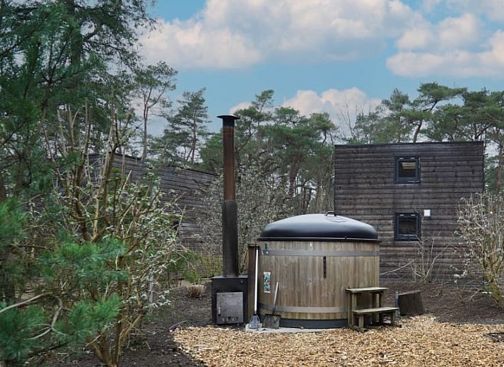 Guest house 320170 - Holiday property Veluwe - Tiny House 4