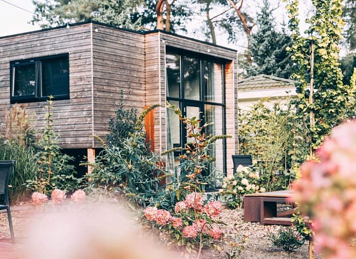 Guest house 320170 - Holiday property Veluwe - Tiny House 4