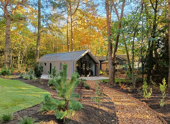 Unterkunft 320171 - Ferienhaus Veluwe - Forest Lodge 4