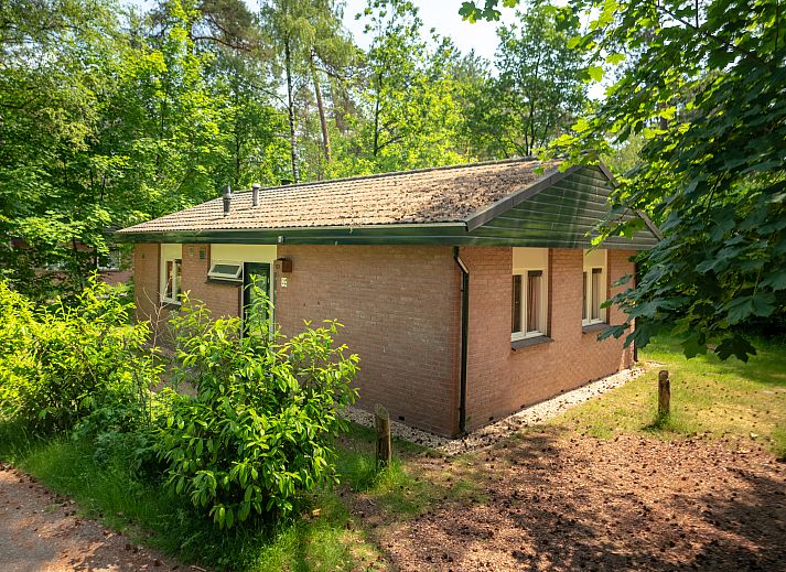 Heideheuvel 6-Personen-Bungalow Beekbergen Veluwe umgeben von gruener Natur