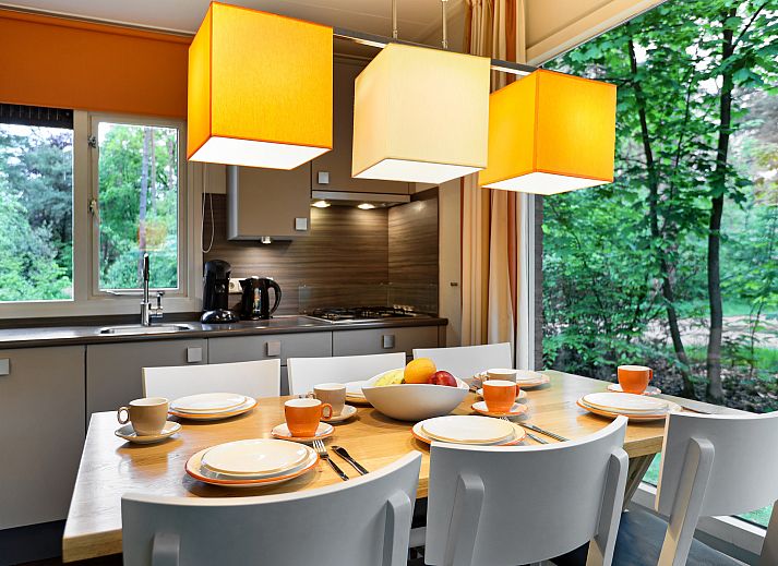 Heideheuvel 6-Personen-Bungalow Beekbergen Veluwe umgeben von gruener Natur